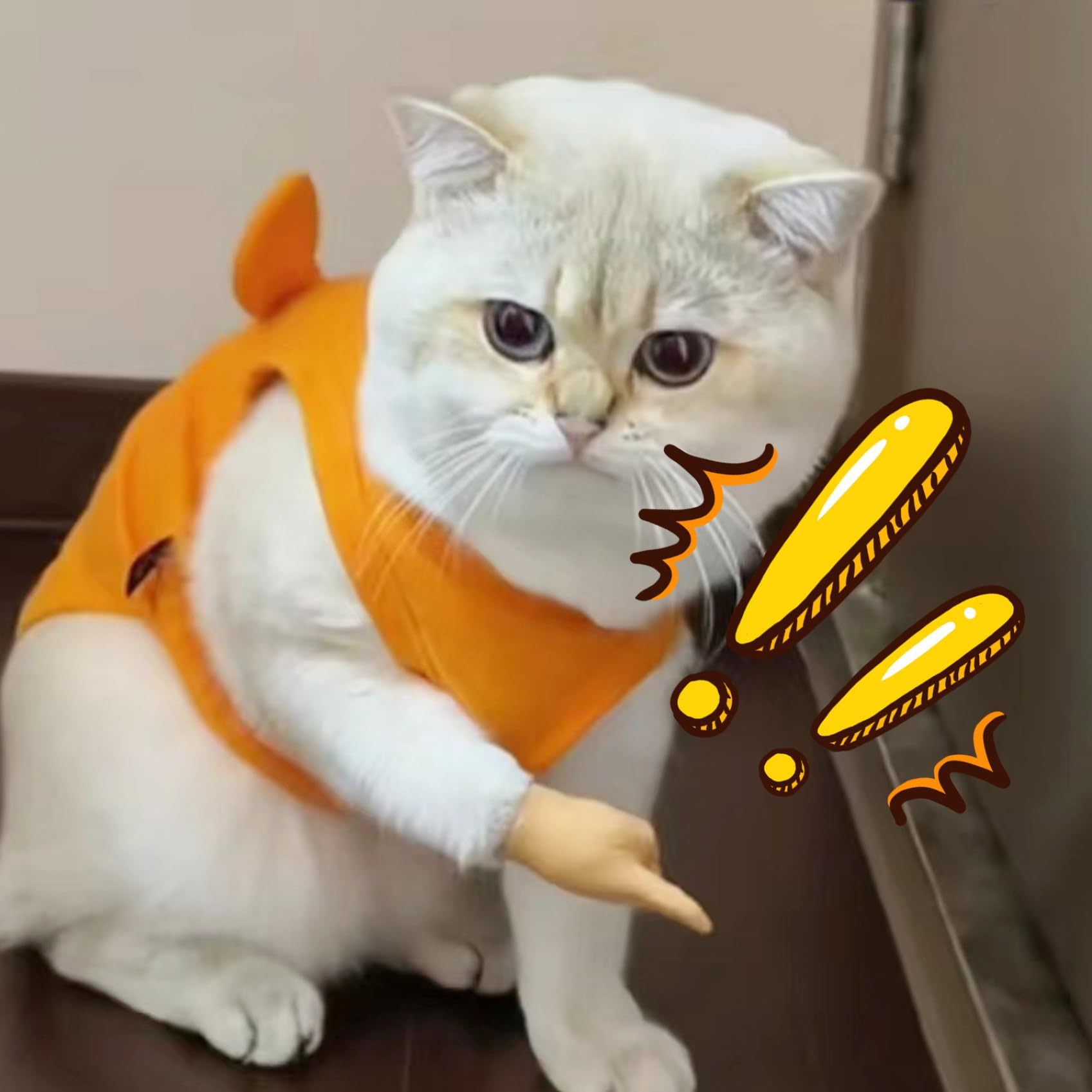 Amazon | 猫用小さな手 6個 リアルなVサイン ミニハンド 伸縮性 小さな