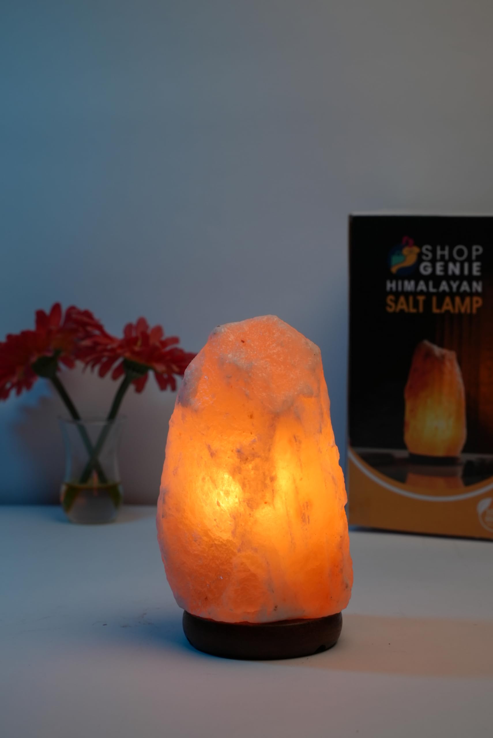 Shop Genie Himalayan Rock Salt Lamp, Natural Hand-Carved, Pink, Small 1-2 kg/Medium 2-3 kg/Large 3-5 kg, with Heat-Resistant Bulb and ON/Off Switch (Medium)