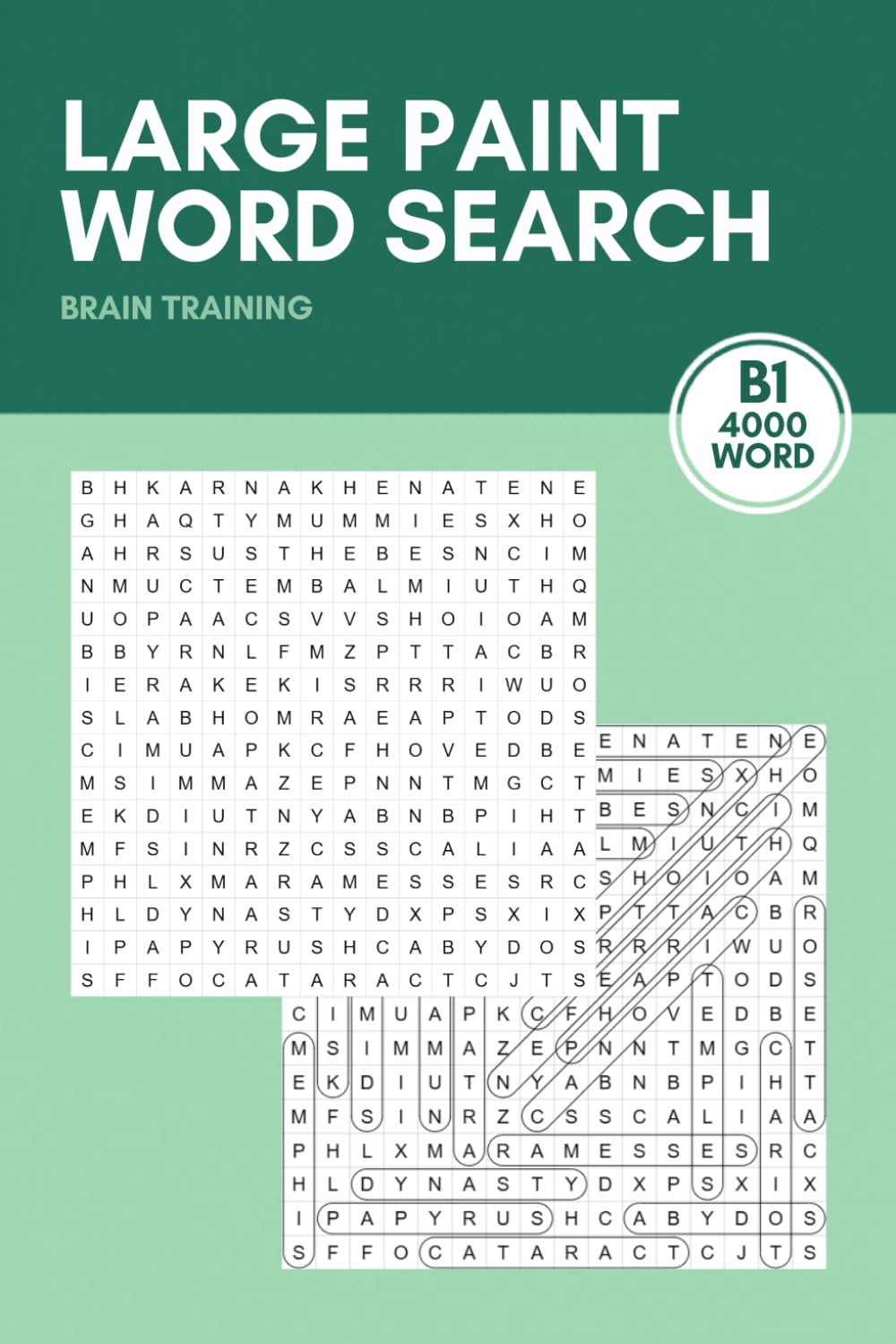 Large Paint Word search Puzzles B1: 4000 Words - 160 Themed Puzzles - For Adults, Seniors, and Teens (Daily Word Search Club)