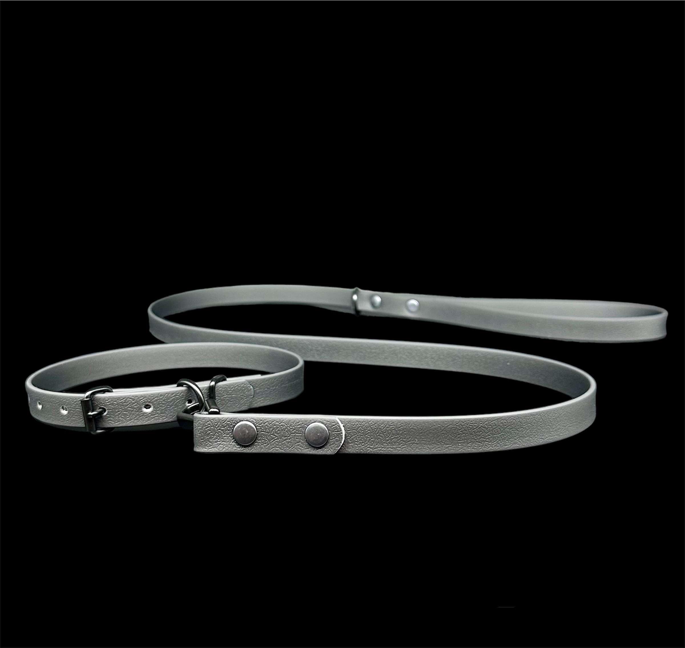 Waterproof Biothane Dog Lead & Collar Set | Metal Buckle | Black Rivets | Ultra Durable…