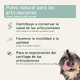 Ver la foto 3