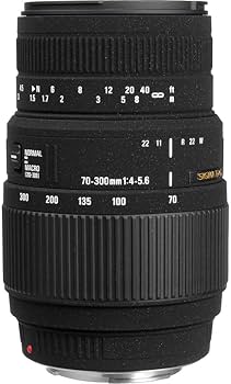Amazon.com : Sigma 70-300mm f/4-5.6 DG Macro Lens for Sony + Corel