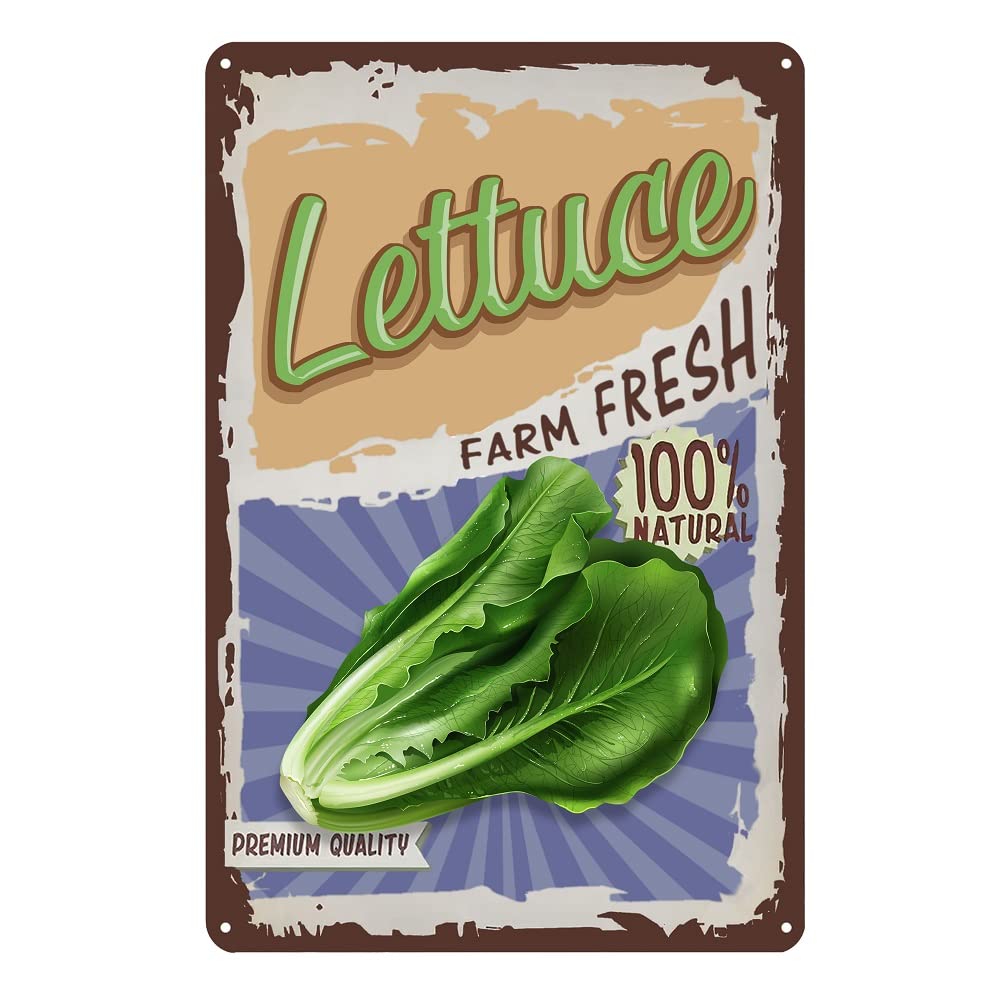 SMAZDFXX Vintage Vegetable Lettuce Tin Signs Kitchen Metal Signs Garden Wall Decor Farm Fresh Wall Signs 12"x16"