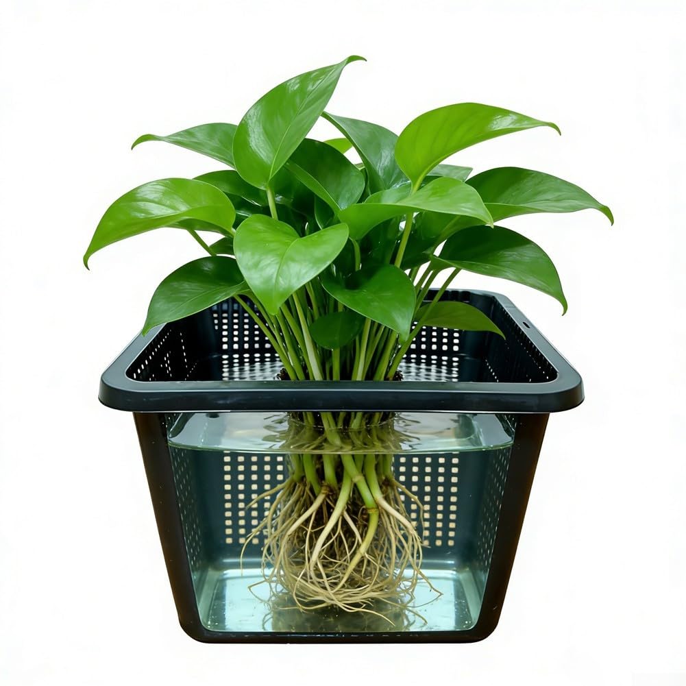 Cestino per piante acquatiche, grande rete idroponica da giardino, 22,822,813,2 cm, cestino per piante acquatiche, laghetti, acquari, verdure, contenitore per la coltivazione di verdure (2 pezzi)