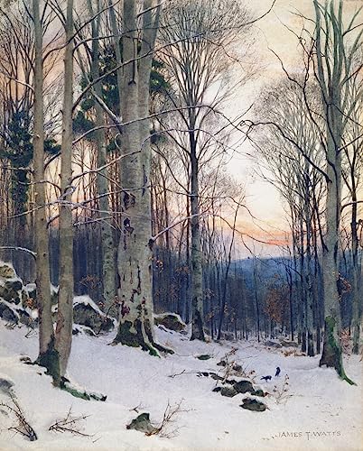Toile Twilight Beech Woods impression nature pour salon 60x90cm