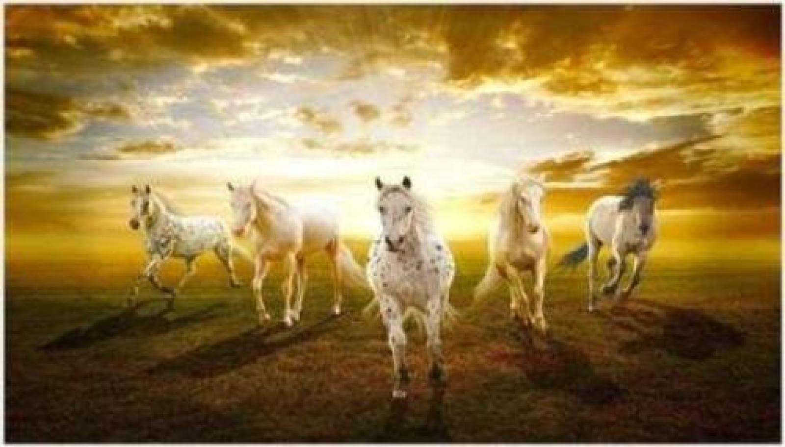 Loisir créatif diamant cheval mosaïque pour réduire le stress à la maison