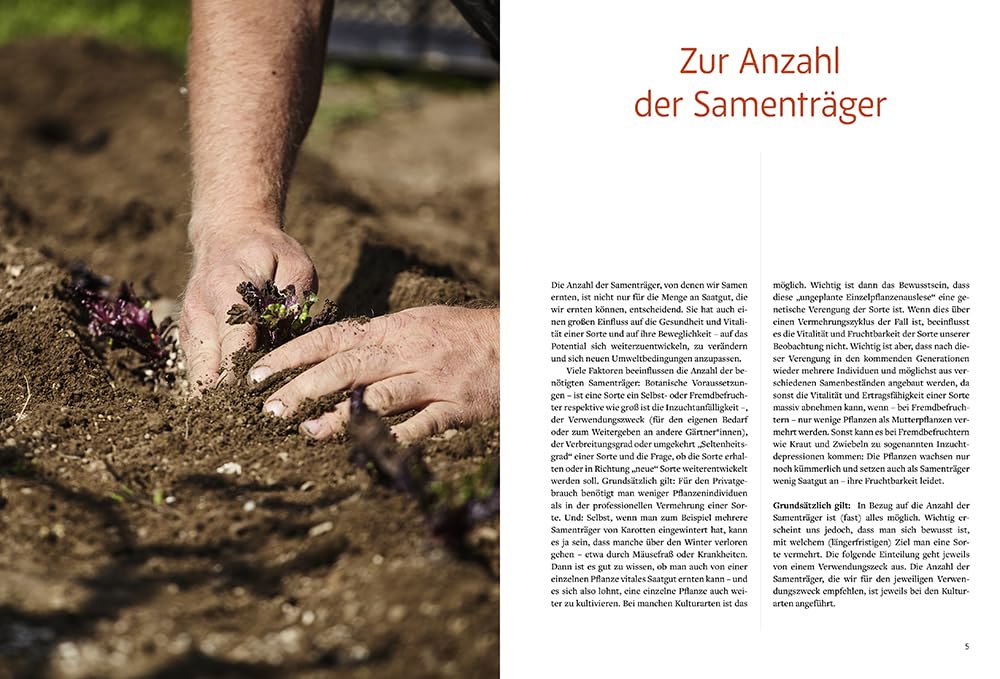 Handbuch Samengärtnerei: Sorten erhalten. Vielfalt vermehren. Gemüse genießen. Pflanzensamen selber ernten, Saatgut vermehren, heimische Nutzpflanzen fördern und alte Sorten bewahren.