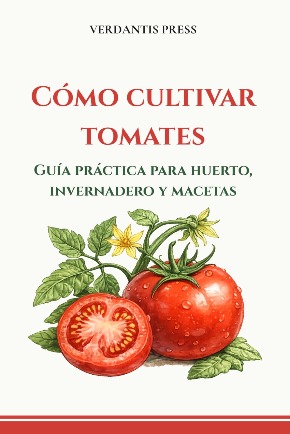 Cómo cultivar tomates: Guía práctica para huerto, invernadero y macetas