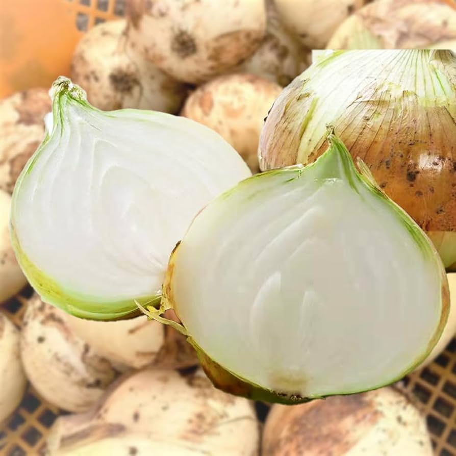Amazon.co.jp: えびねの多菜生活 玉ねぎ 又は新たまねぎ 大玉 新