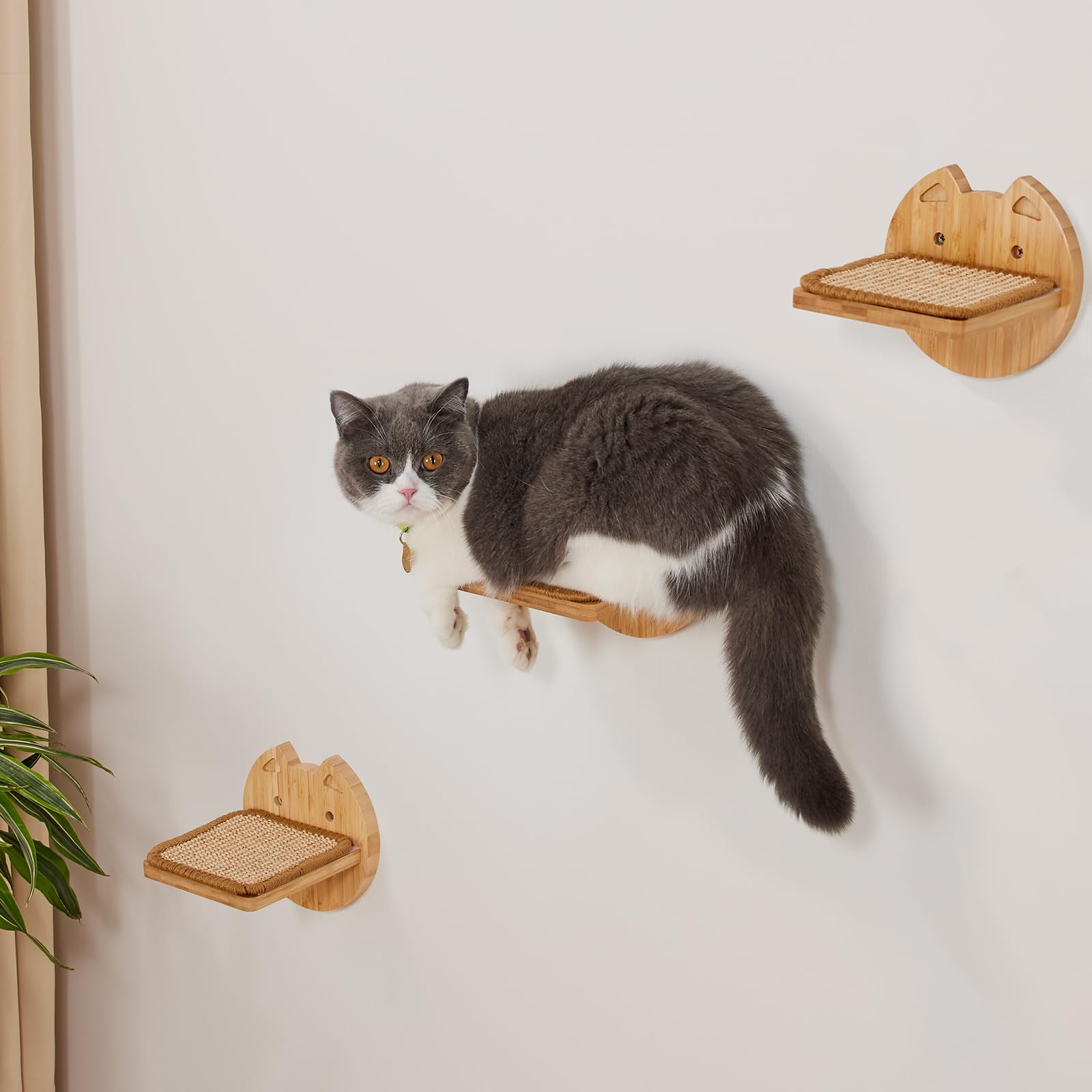 Yangbaga Set di 3 Scale per Gatti - Parete di Arrampicata Con Gradini 18x16 cm in Beige - Passerella e Scala per Gatti