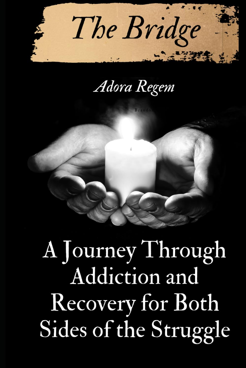 The Bridge: A Journey Through Addiction and Recovery for Both Sides of the Struggle