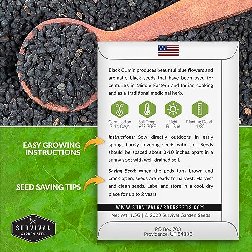 Survival Garden Seeds Black Cumin Seed for Planting - 1 Packet with Instructions to Plant and Grow Beneficial Nigella Sativa Plants in Your Home Vegetable Garden - Non-GMO Heirloom - Image 2
