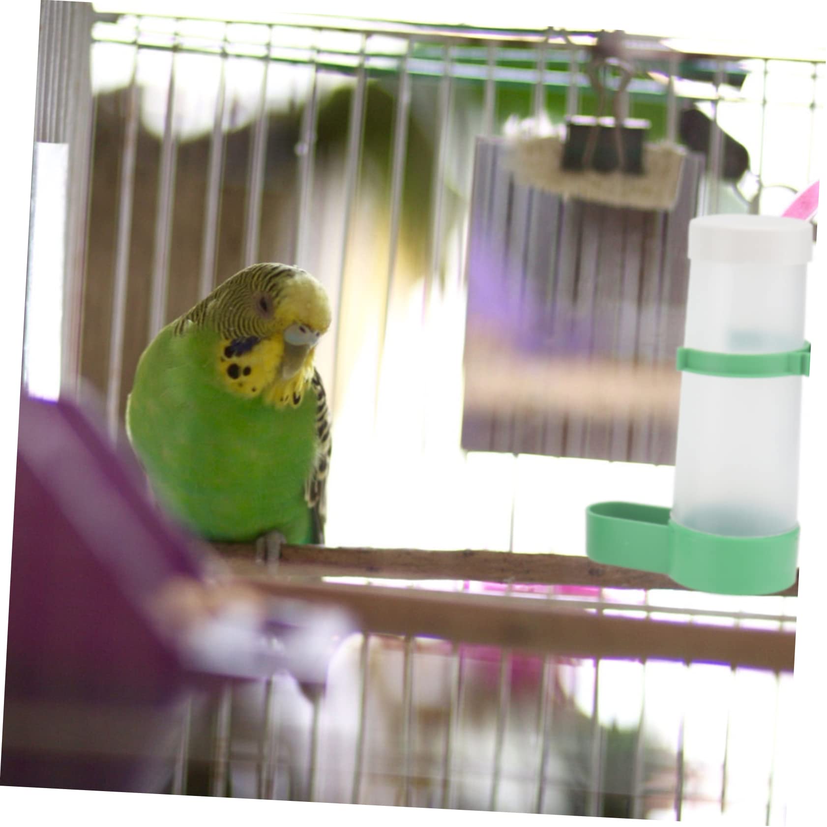DOITOOL 2juegos Bebedero Automático para Aves Sistema De Agua para Jaulas Material Seguro y Fácil De Usar para Periquitos y Canarios