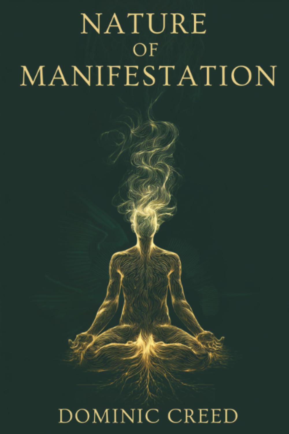 Nature of Manifestation: When Manifestation Doesn't Work. The Hidden Laws of Nature, Identity, and Energy You Were Never Told