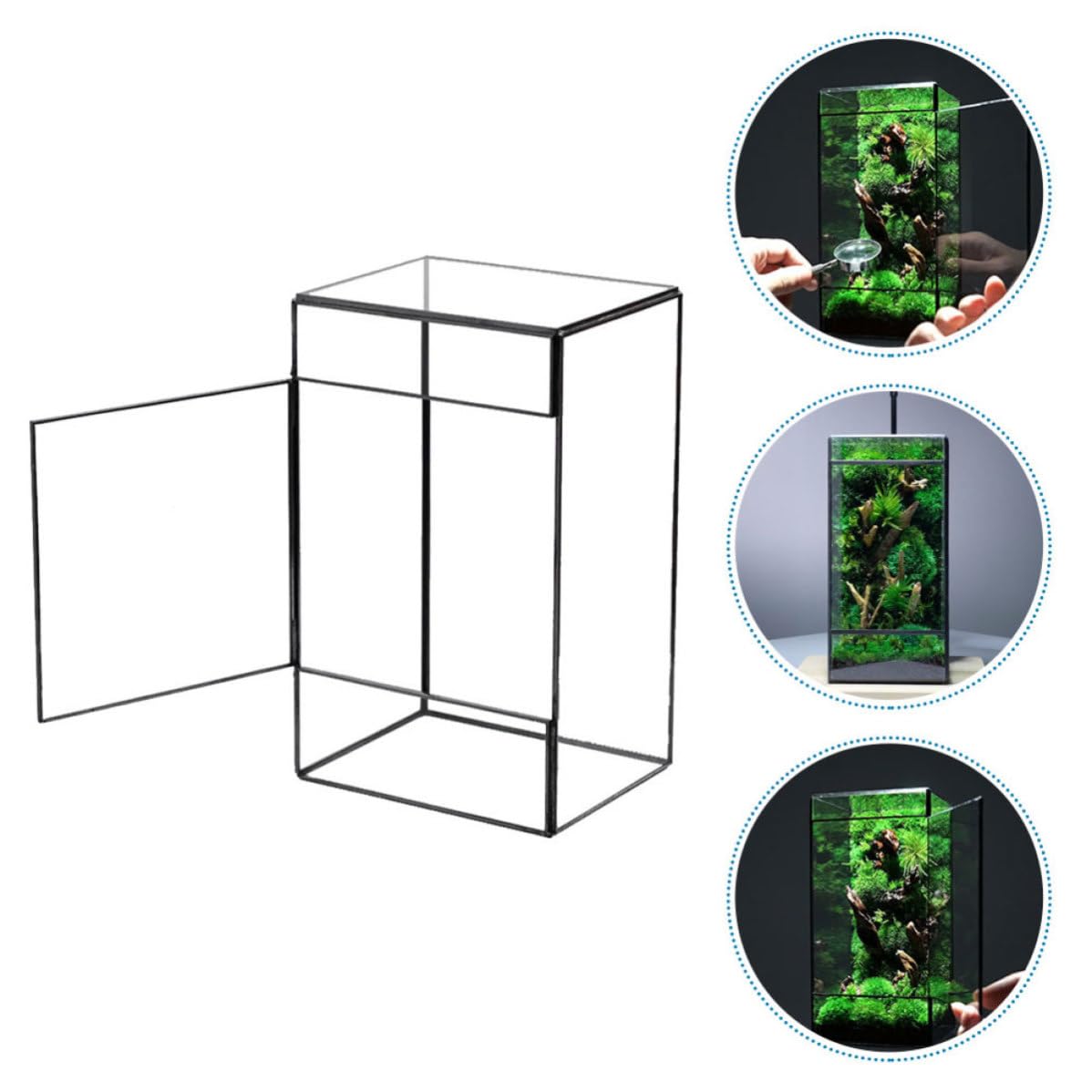 Terrario de Vidrio Geométrico Negro para Plantas y Flores | Contenedor de Micro Paisaje, Caja Vacía Estructura de Estaño, Decoración para Hogar y Sala