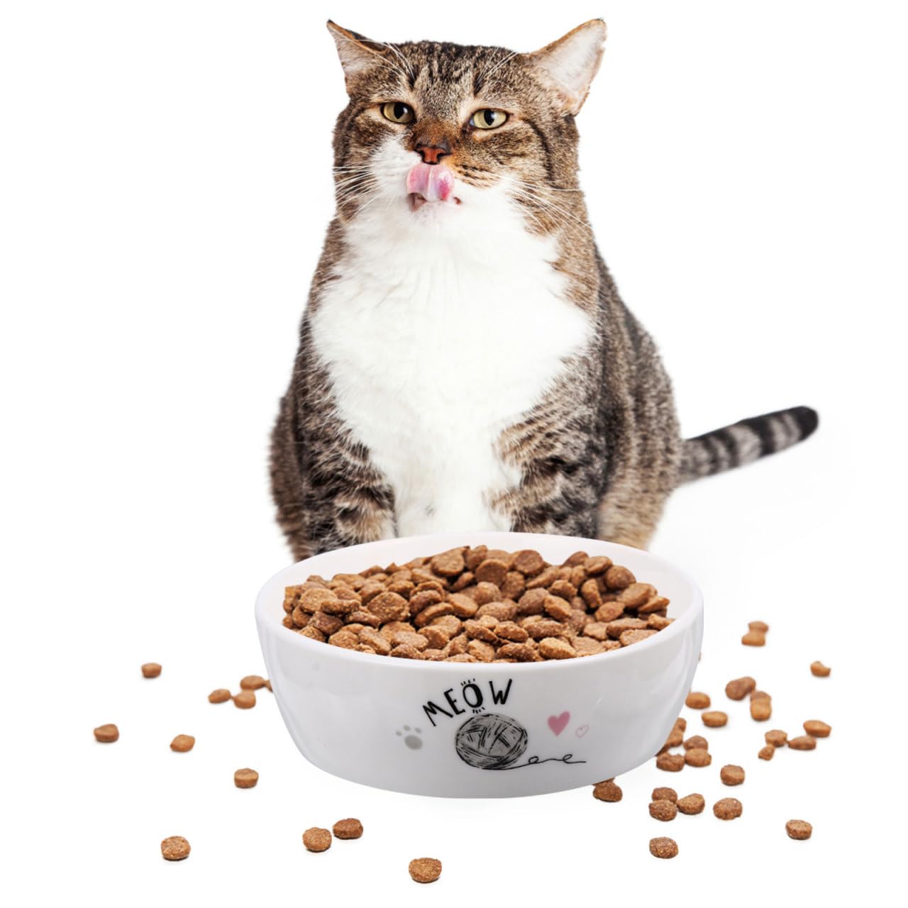 POPETPOP Keramik Napf Hund, Katzennapf Keramik, rutschfeste Futterschale FüR Katzen Und Hunde, Wassernapf Mit SüßEm Muster, 13cm, Weiß