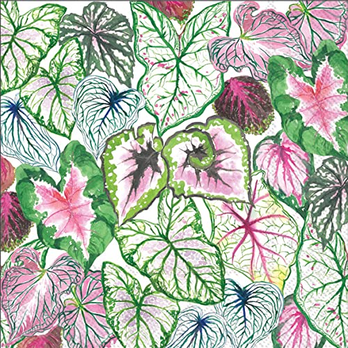 IHR Ideal Home Range Cocktail Napkins Disposable 3-Ply Paper Party Napkin Pack, 5" x 5", Succulent Leaves, 20-Count