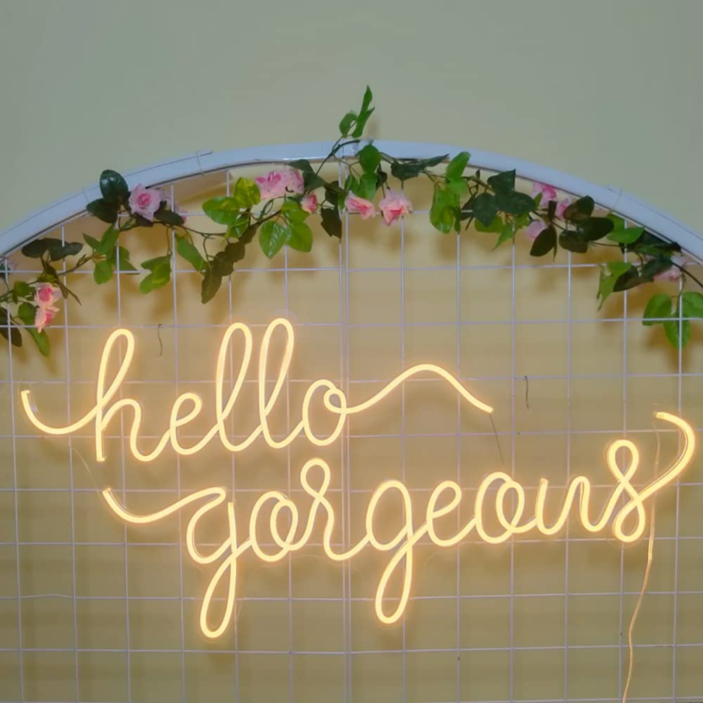 Ulalaza LED Neon Sign Night Light Hello Gorgeous for Home Bedroom Living Room Bar Art Decoration Party Wedding Birthday Christmas with USB Modulator 5v