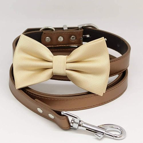 ivory dog collar