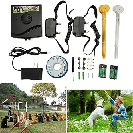 in ground shock collar