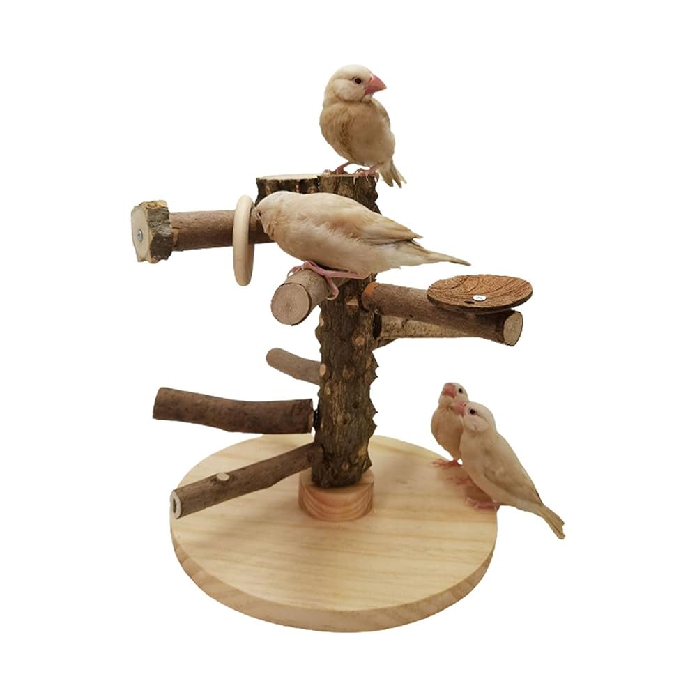 Amazon.co.jp: shopparadise 鳥 おもちゃ 止まりタワー オウム