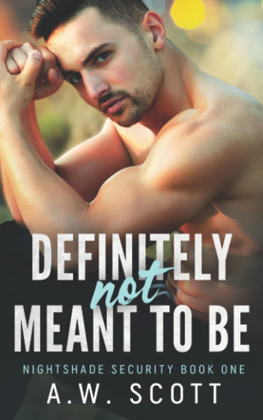 Definitely Not Meant To Be: An M/M Bodyguard Romance (NightShade Security)