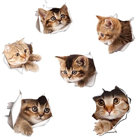 Amazon Fohil 3d かわいい猫 ウォールステッカー 6匹の猫セット シール式 装飾 おしゃれ はがせる 剥がせる Diy ねこ 動物 立体 騙し絵 写真 カフェ ペット屋 玄関 寝室 子供部屋 賃貸ok ｐｖｃ製 ウォールステッカー オンライン通販