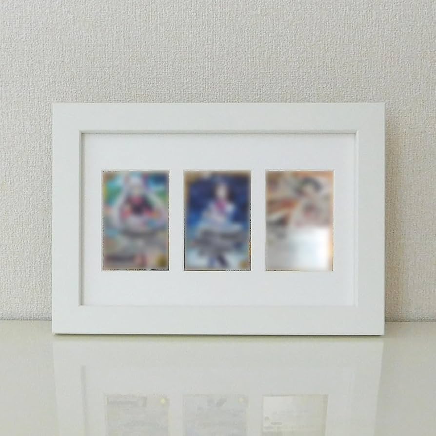 CNPトレカ オリジナル 額縁 Lサイズ 21枚収納 CNPトレカ