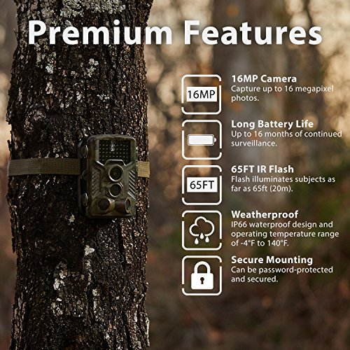 Rexing Woodlens H1 Hd 16Mp Trail Camera Day & Night Ultra Fast Motion Detection, 0.2S Trigger Speed, Led Flash Photo, Video Hunting Game Personal Surveillance Cam (Rexing H1) #TOP1