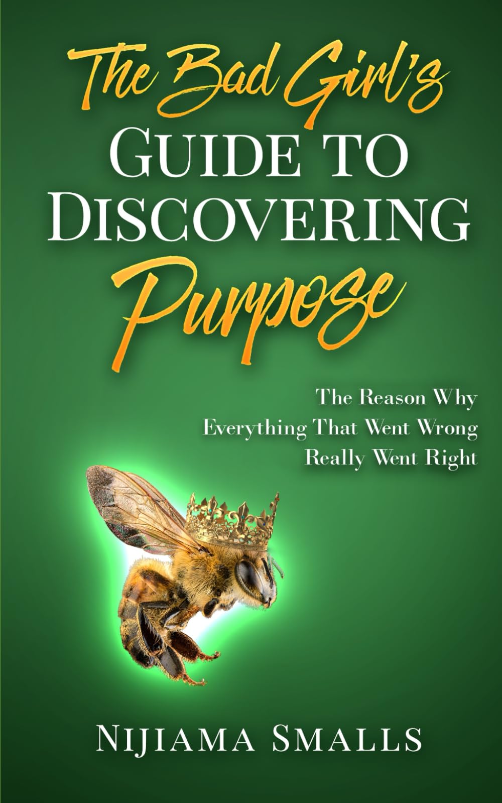 The Bad Girl's Guide to Discovering Purpose: The reasons why everything that went wrong really went right