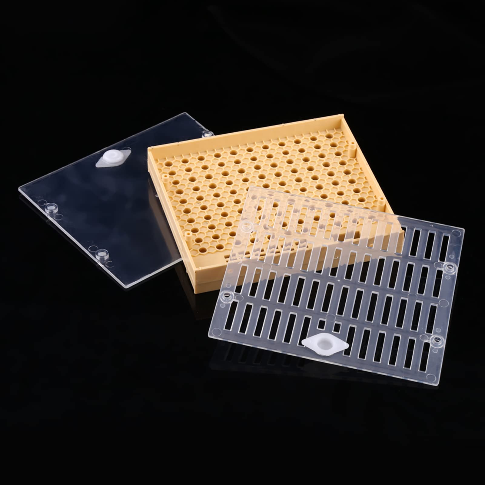 Nicot Queen Elevage Cell Bar Blocks Plastique Apiculture Queen Elevage Cups Box Cell Bar Blocks Hair Roller Cages Bee Keeper Equipment