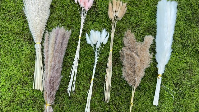 Dried Pampas Grass Decor 107 pcs Boho Home Decor miniatura 7