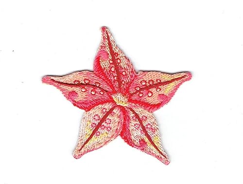 Starfish - Parche bordado para planchar con estrellas de mar tropical, coral, océano