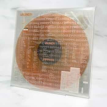 Amazon.co.jp: vaundy レコード LP replica analog 完全生産限定