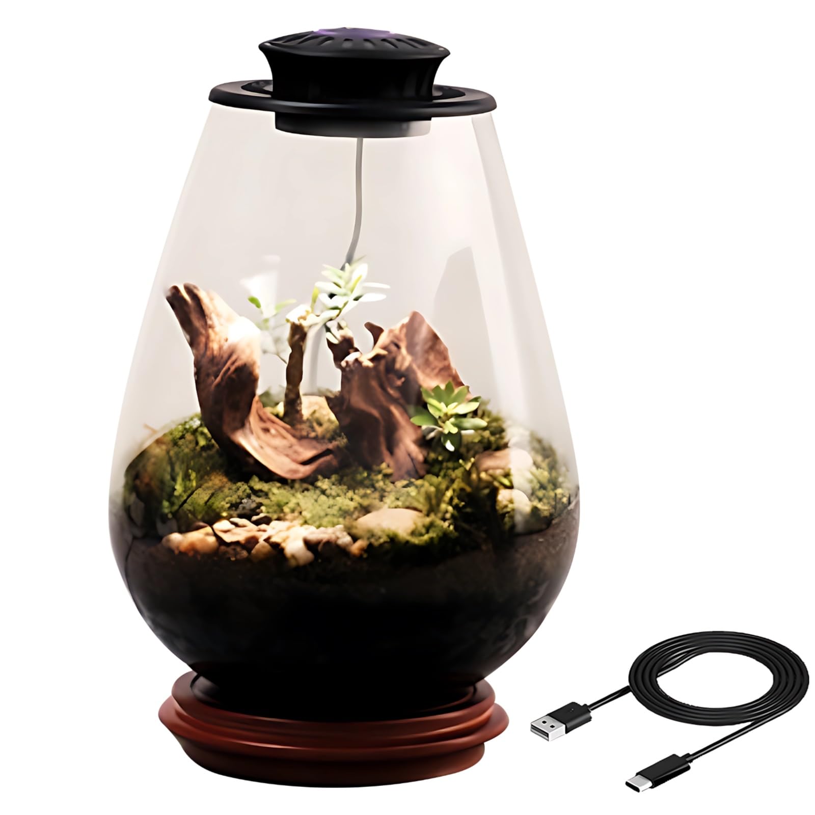 Szklane terrarium na rośliny z oświetleniem UFO LED, ekosystem biurkowy z mchem, 5 V, 2 A, czarne światło, do biura i wystroju domu, w zestawie butelka ociekowa i kabel typu C