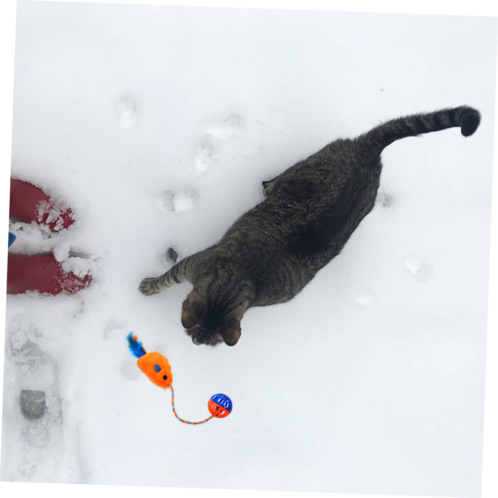 BESPORTBLE Jouet pour Chat Interactif avec Clochette Intégrée, Balle en Plastique Orange, Compact et Léger, Jouet Intérieur pour Chatons et Chats Adultes