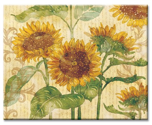 CounterArt Reflections of the Sun Glass Cutting Board, 15 x 12 Inches by CounterArt