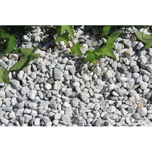 Fg[hLLC ʔ pE_[O[ K[fp ύ h  5(15`20) (O[, 5kg)