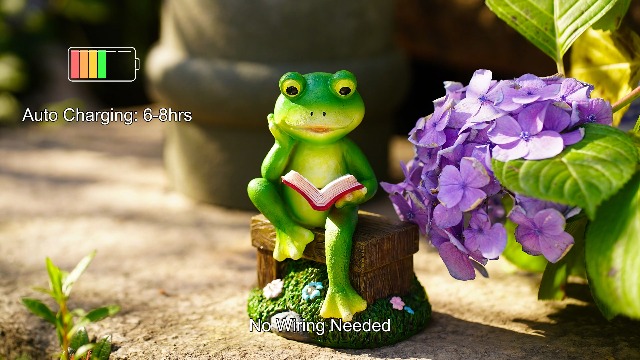 Amazon.com: Tiejiajiang Solar Frog Garden Decor - Resin Frog Decor