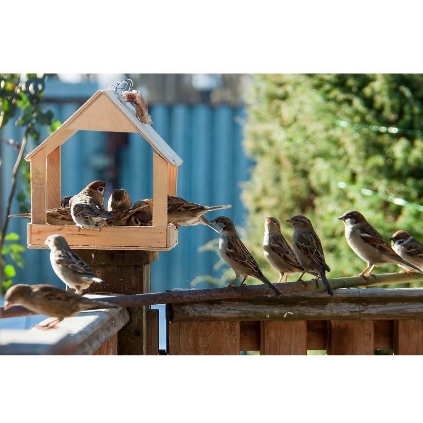 Mangime Uccelli Selvatici ZIVELA 30KG - Miscela Premium Per Tutte Le Stagioni