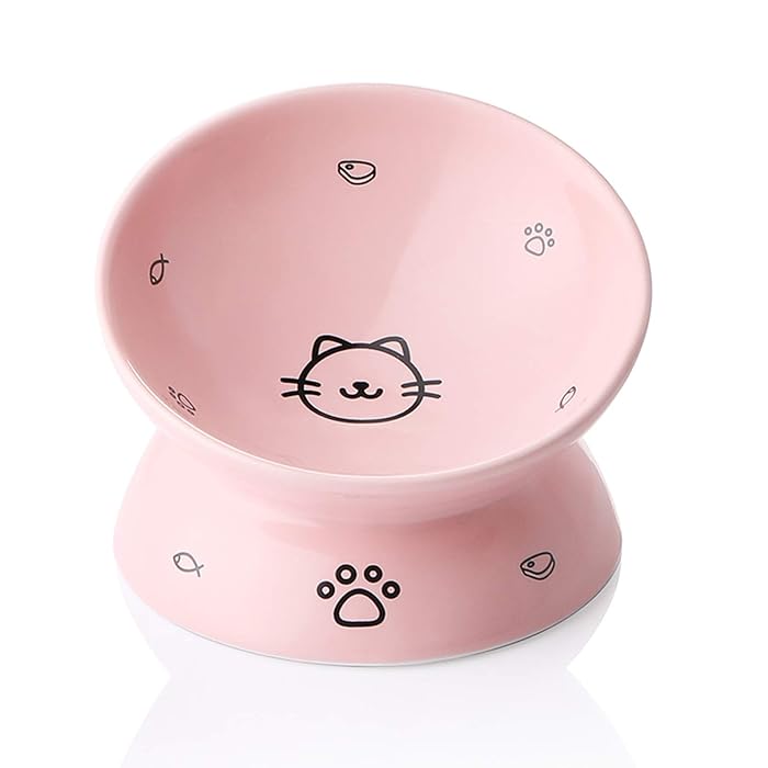 Buy Sweejar Ceramic Raised Cat Bowls, Slanted Cat Dish Food or Water