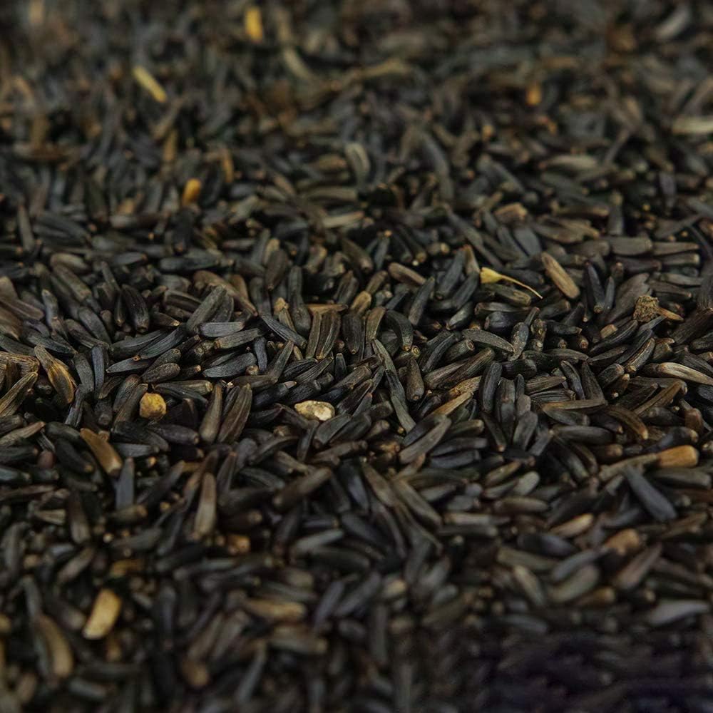Semillas de Níger BusyBeaks - Alimento de Alta energía y Calidad para Aves Silvestres de jardín y pinzones (15kg)