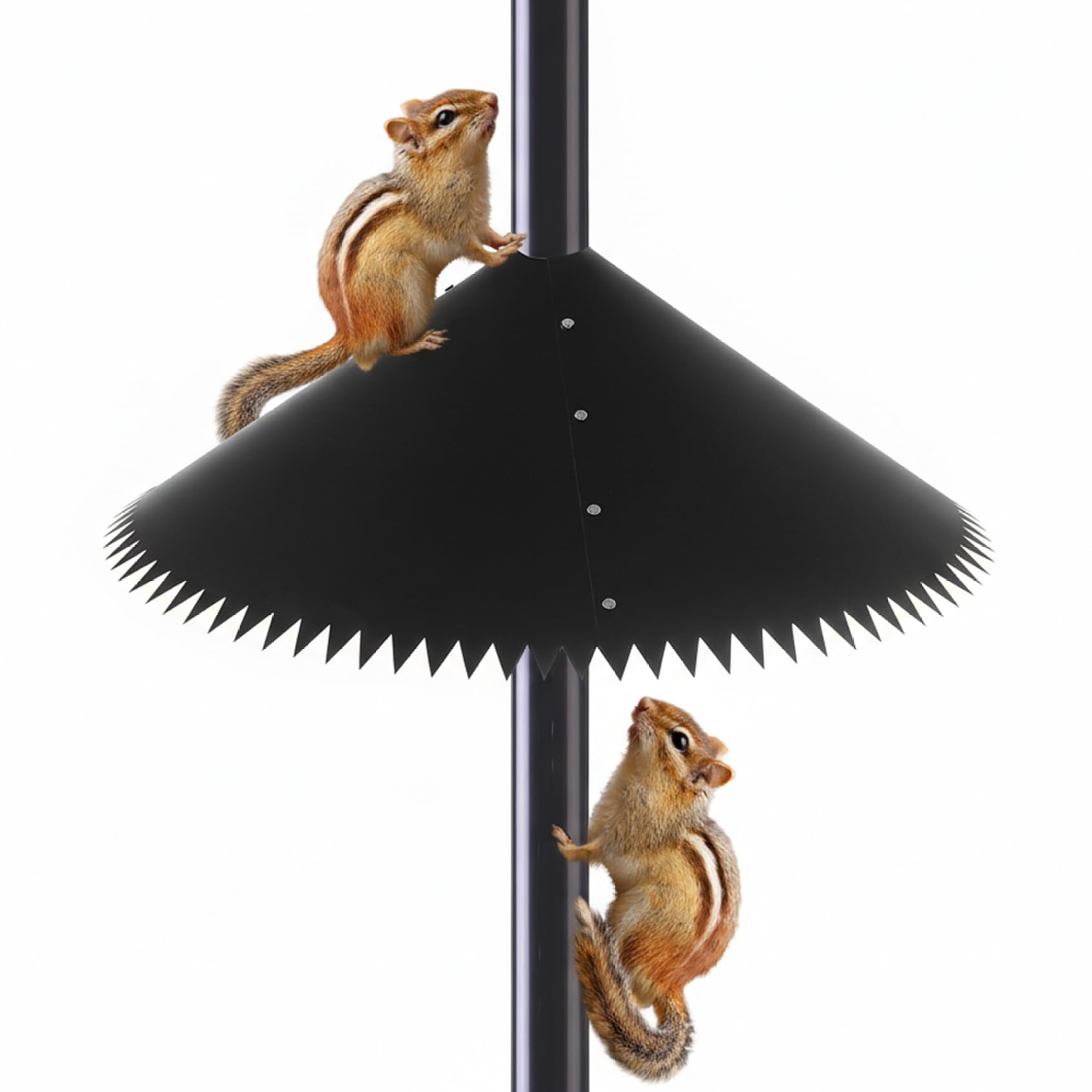Déflecteur d'écureuil pour Poteau de mangeoire à Oiseaux, déflecteur de mangeoire à Oiseaux Ressort Dynamique 19 ° avec Outil en métal recouvert PVC pivotant 80 ° pour Dissuader Les écure