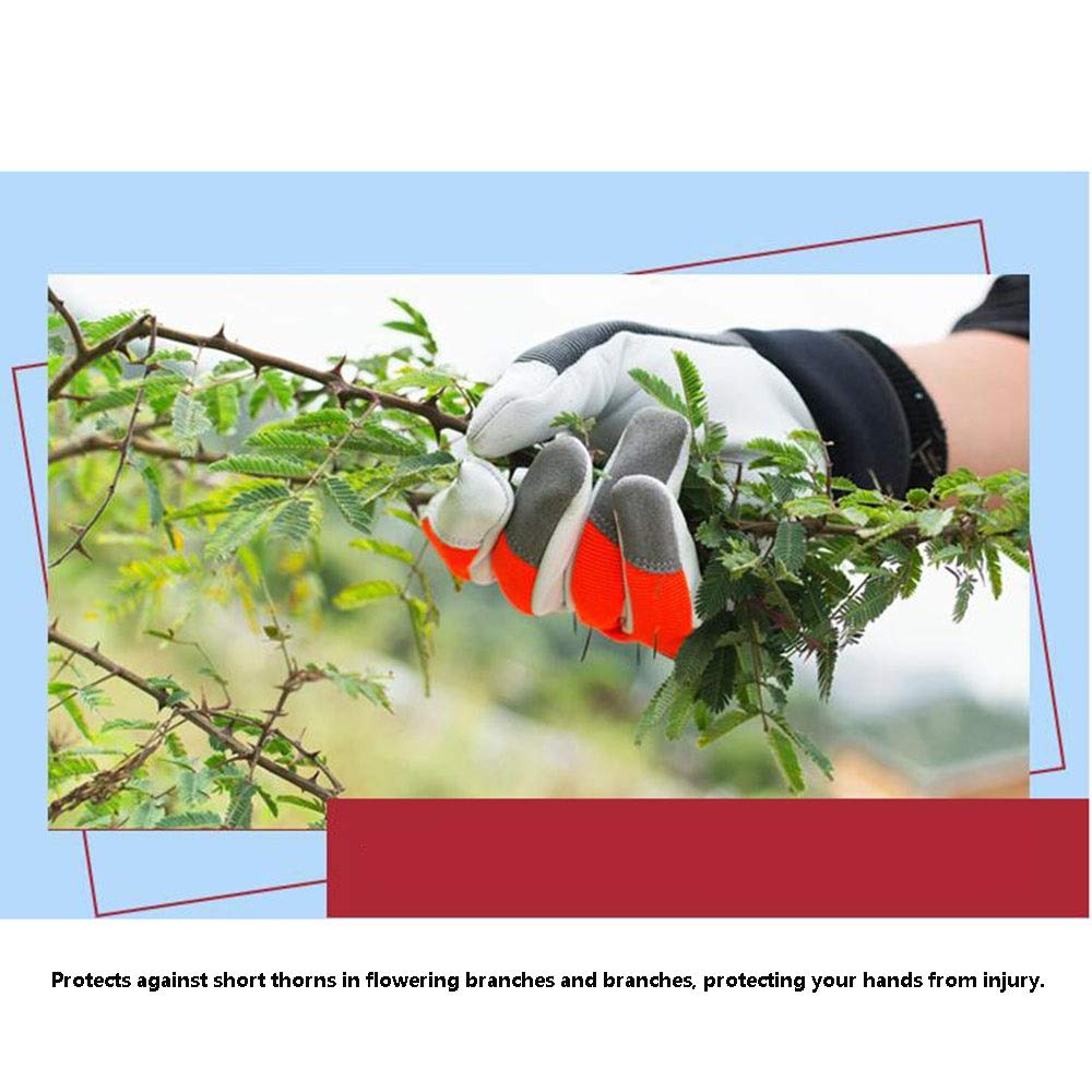 Gartenhandschuhe for Damen und Herren, gummibeschichtete Handschuhe, Hochleistungsschutz, Sicherheitshandschuhe, rutschfest, Outdoor, verschleißfest, Ziegenleder, Vollfunktionshandschuhe, Schutz