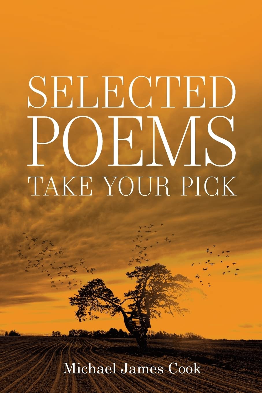 Selected Poems: Take your pick