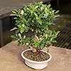 Product Photo 4