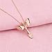 LQRI Phoenix Necklace Resurrection of The Phoenix Fire Bird Pendant Necklace Phoenix Rebirth Jewelry Women Friend Encouragement Gift (n-Rising Phoenix)