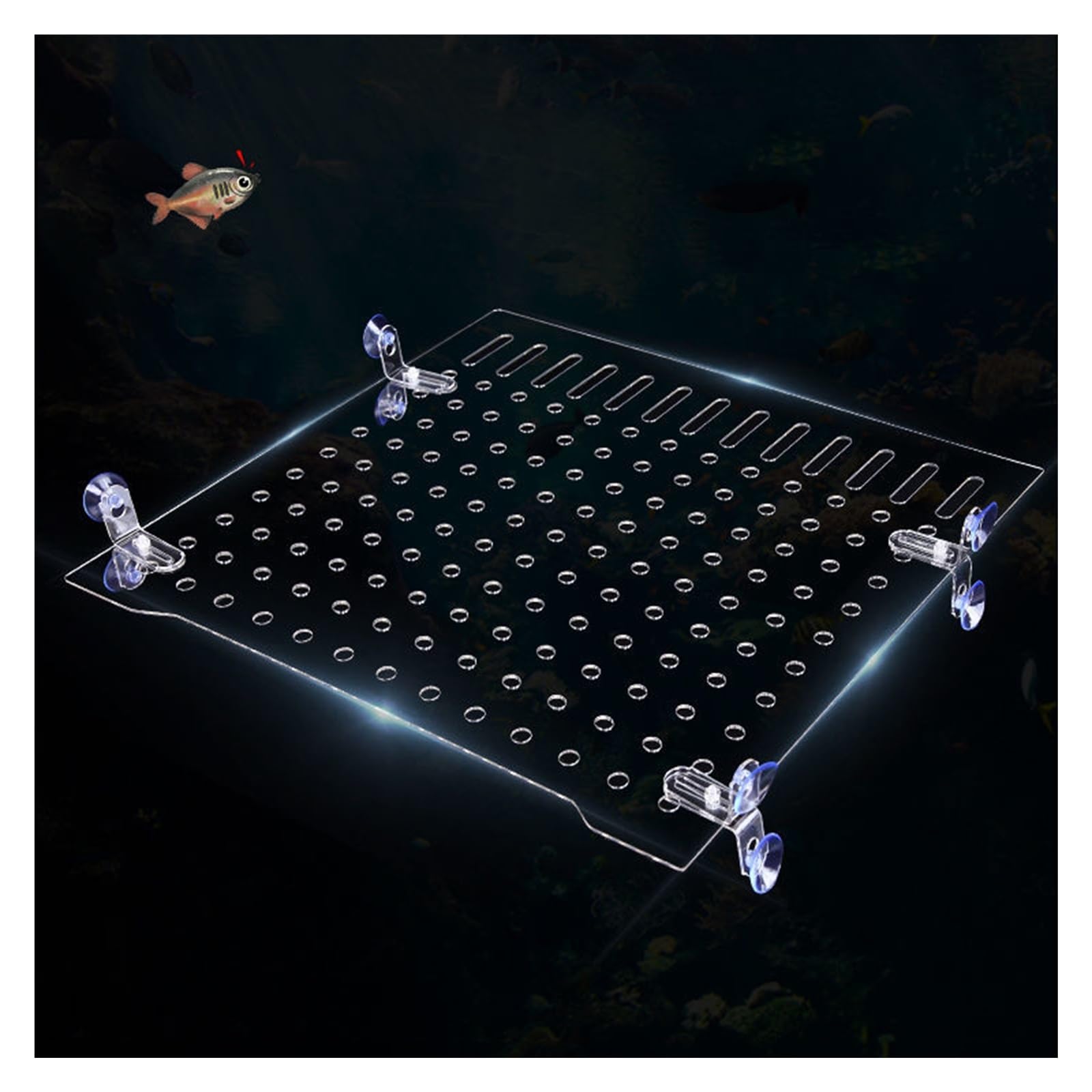 Séparateur D'aquarium en Acrylique — Grille D'isolation avec Ventouses pour La Séparation Polyvalente des Poissons(3mm Thick)