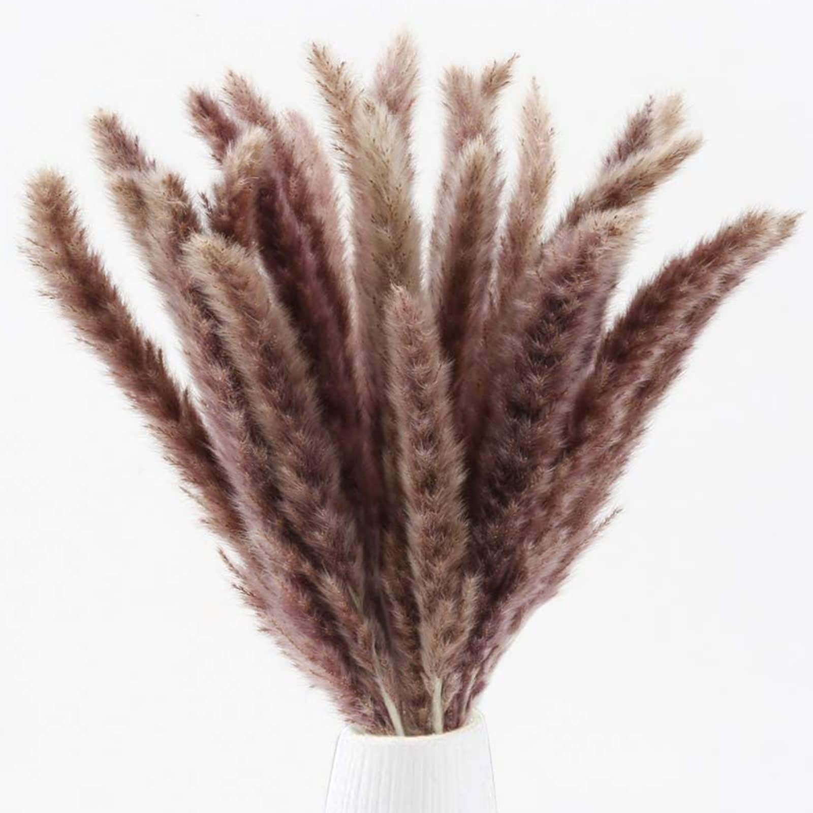 HUAESIN Dried Pampas Grass 25pcs 17 Inch Tall Brown Pampas Grass Dried Flowers for Boho Wedding Home Decor Party Decor