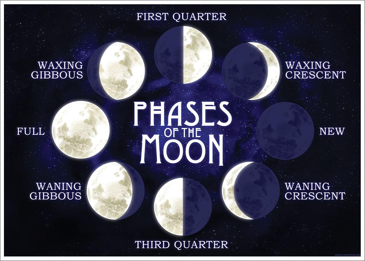 Grindstore Multicolour Laminated Moon Phases Mini Poster Wall Art Print, Room Decor, Bedroom Home Office Decoration, Gift Idea, Novelty Wall Decor, Compact Art Print